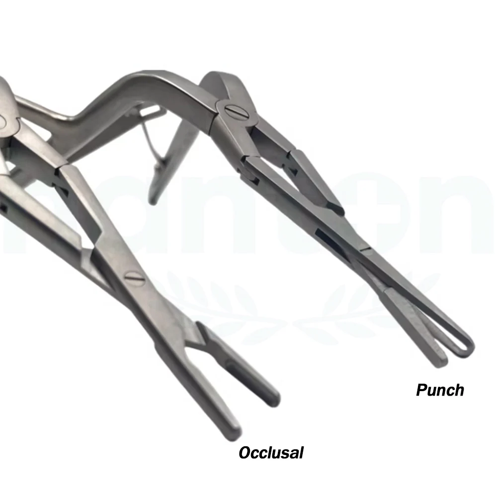 High Quality Stainless Steel Nasal Surgery Rongeur for Nasal Tissue Removal Nasal Septum Rongeur Double Joints