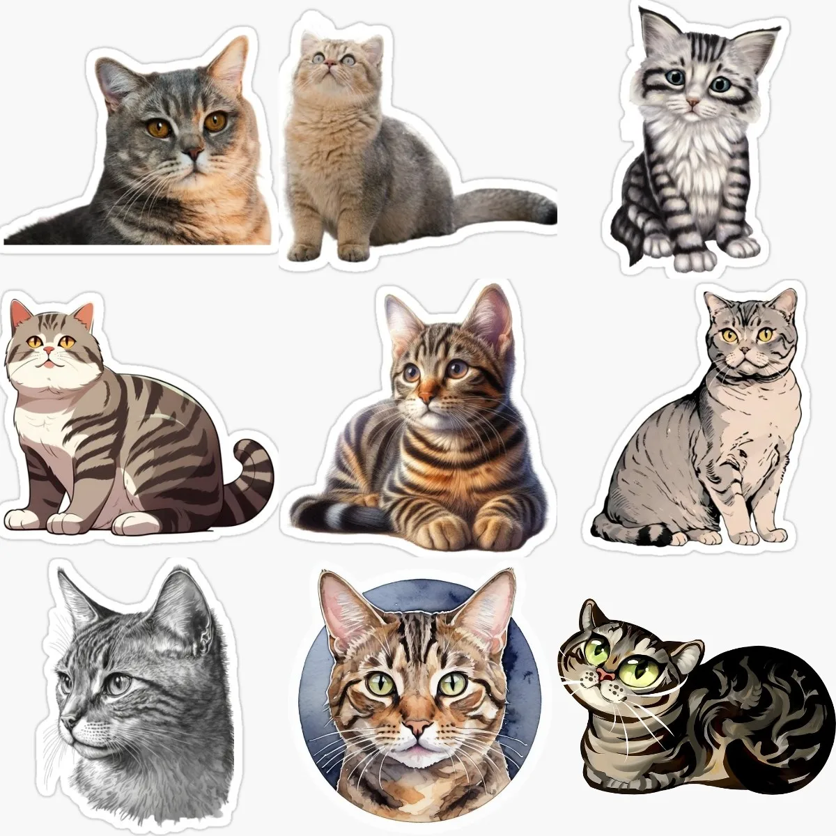 Cute Cat American Shorthair PVC Creative Stickers for Decorate Fridge Car Room Wall Van Bicycle Window Decal Accessories