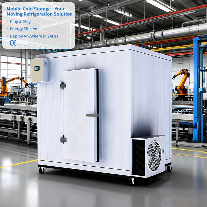 Food store mobile walk-in freezer with compressor freezer, energy saving and stable