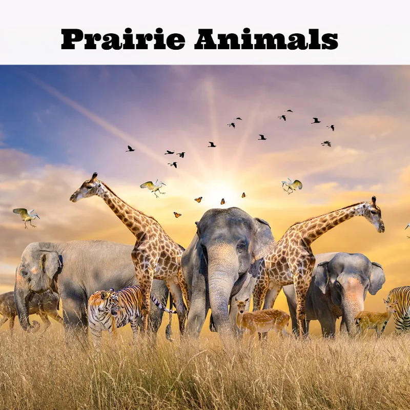 500 Pieces Jigsaw Puzzle for Adults Painting Prairie Animals Paper Puzzles Home Decor Wall Display Halloween Christmas Birthday