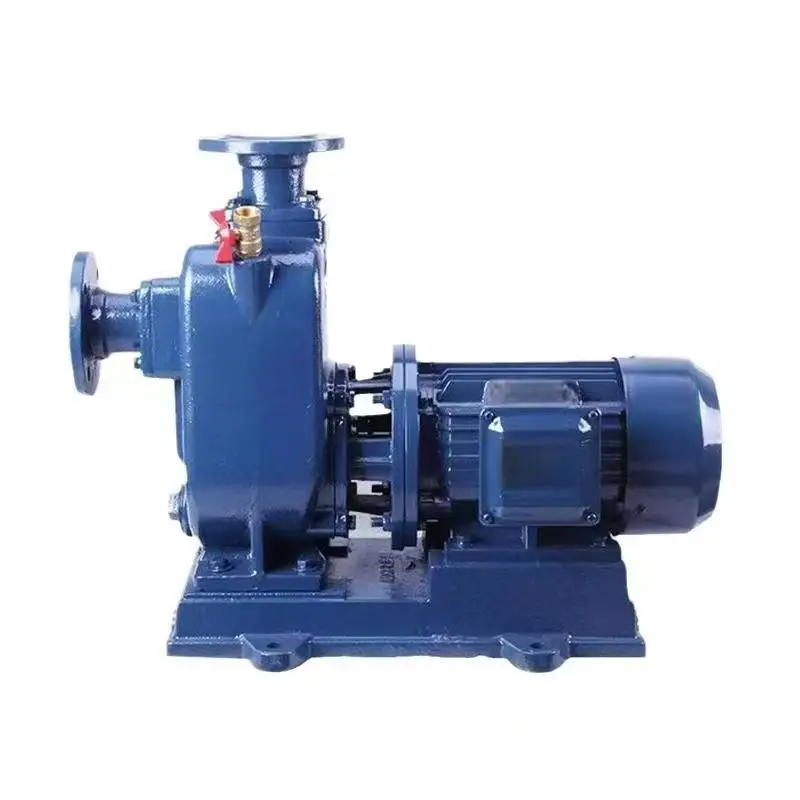 I produttori di pompe a prezzo di fabbrica possono estrarre sedimenti e impurità di scarico Pompa per piscina con pompa a vuoto con valore ZW