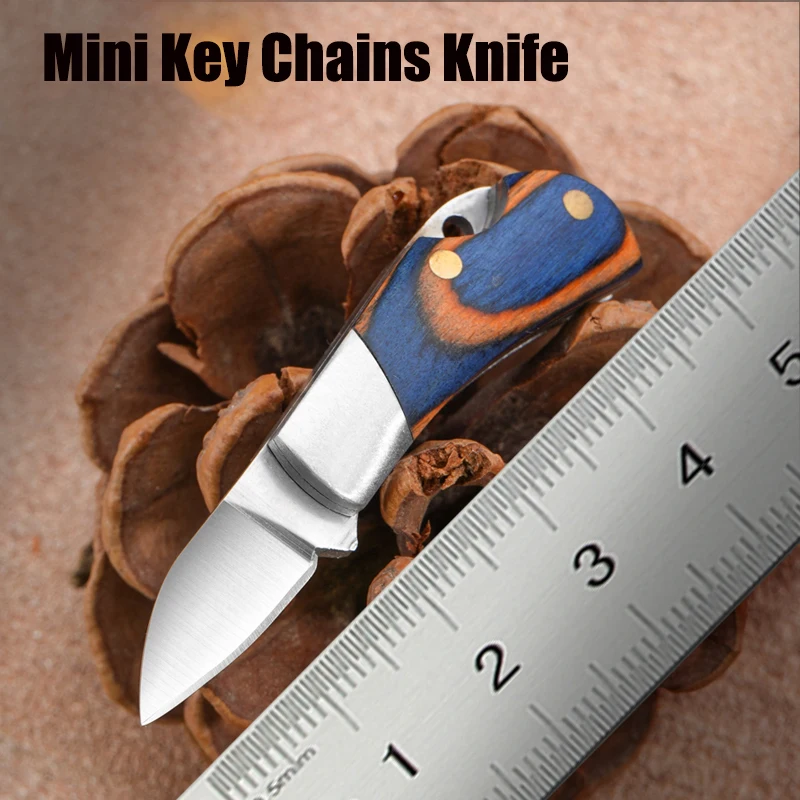 Portable Small Blade Camping Keychain Folding Pocket Knife Stainless Steel Mini Key Chains Rings Knife Pendant Keyring Bag Gifts