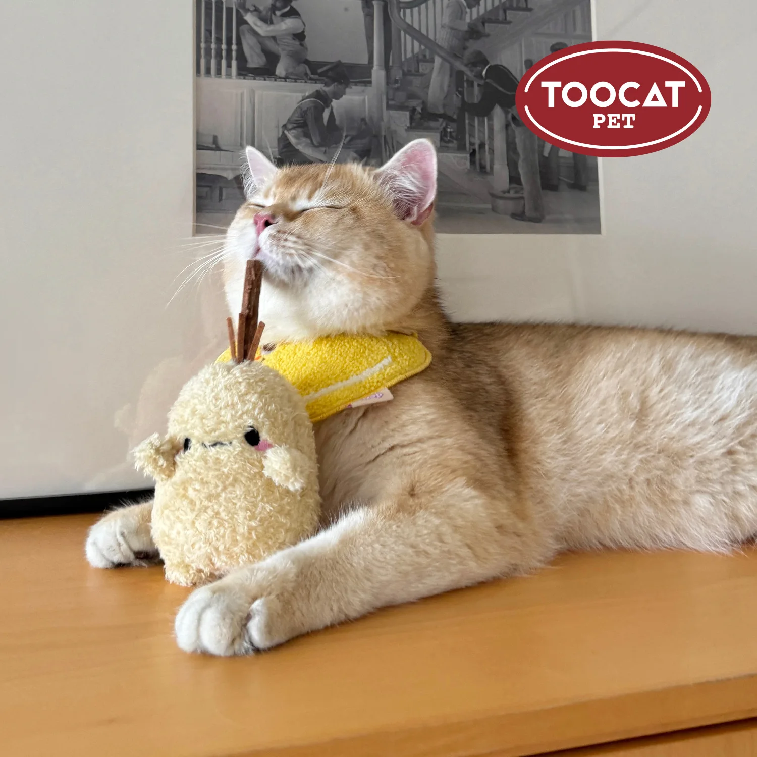 

Tater-Shaped Cat Teaser Wand & Silvervine Chew Toy - Chew-Resistant Biting Interactive Kitten Toys for Cats