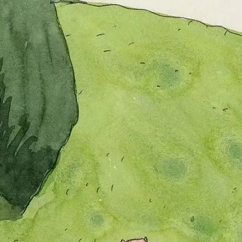 

Специальная ссылка для съемки индивидуального продукта AWX