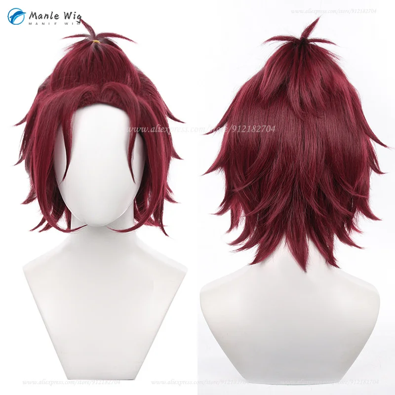 ES  Isara Mao Cosplay Wig 32cm Short Red Brown Wig Heat Resistant Synthetic Hair Isara Mao Cosplay Anime Wigs