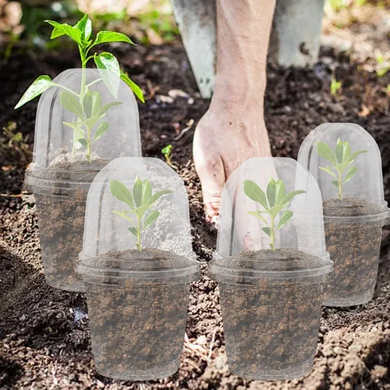 Thumbnail 2 - #16 Compare Plant Pots Before You Buy