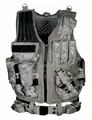 ACU camouflage