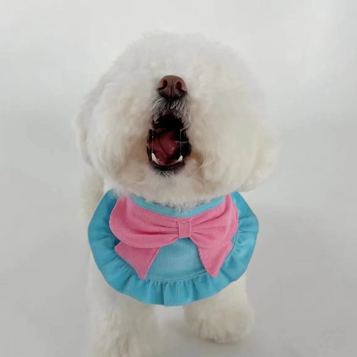 INS Cute Butterfly Dog Bib Kitten Pet Saliva Pocket Saliva Towel Than Bear Teddy Bomei Yorkshire Schnauzer Dog Saliva Towel Cat