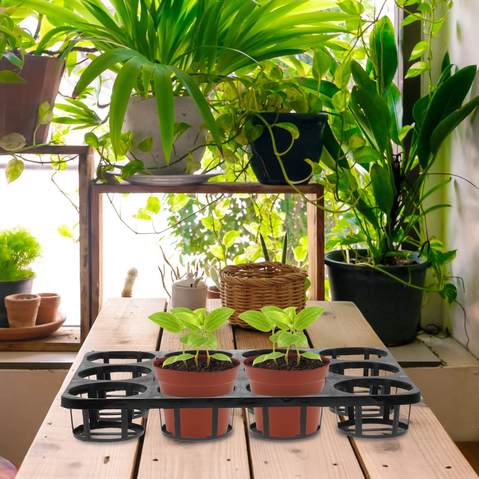 Bandeja de mudas de material pp, 2 peças, 15 buracos, durável, respirável, fácil limpeza, casa, jardim, bandeja de germanagem, bandejas de cultivo