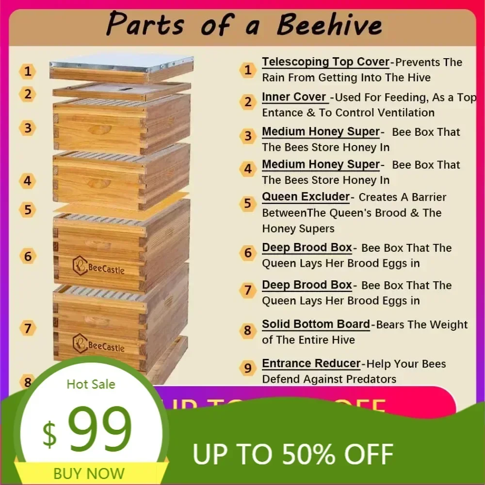 10 Frame Langstroth…