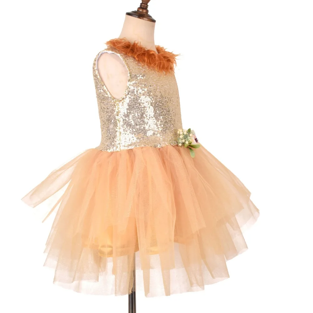 Lion Mesh Tutu Dress Children\'s Day Performance Clothing Cosplay Costumes  Anime Cosplay