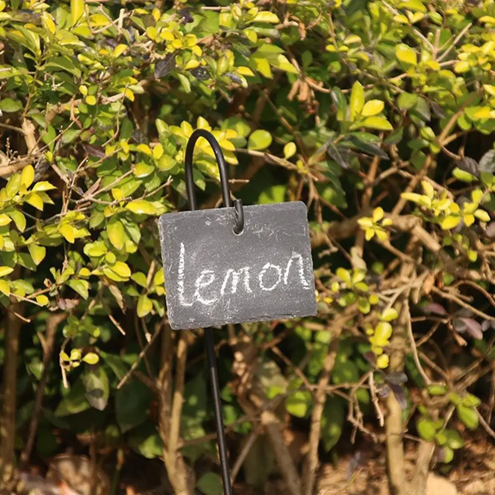 2pcs Durable Metal Shepherd Hook Rust Proof Waterproof Ground Insertion Rod Hanging Multi-purpose Iron Bracket Scene Layout