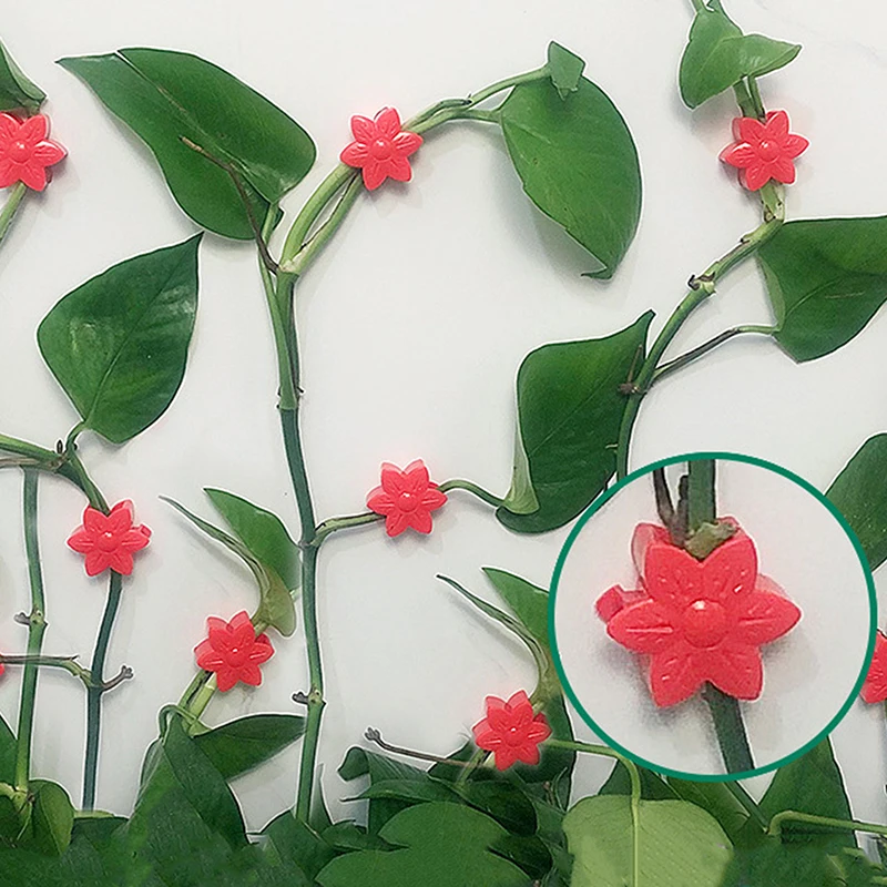 10 pezzi a forma di fiore pianta rampicante parete Clip appiccicose Rattan vite fissatore gancio autoadesivo Clip di rilegatura da giardino invisibile