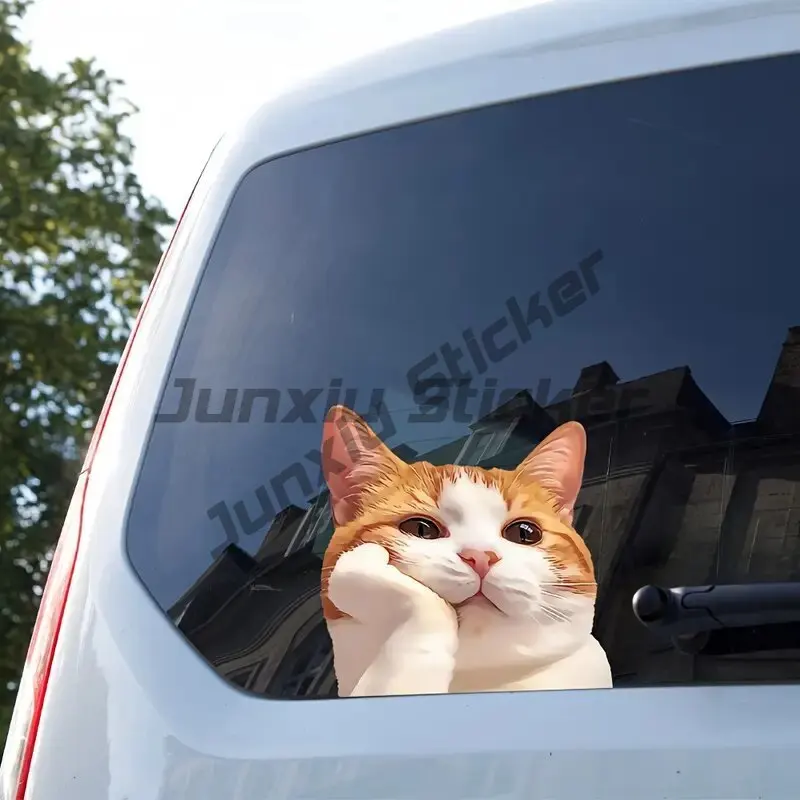 

Cute Orange Cat Window Stickers-Fantasy Animal Stickers, Suitable for Home and Car Decoration, Easy To Tear