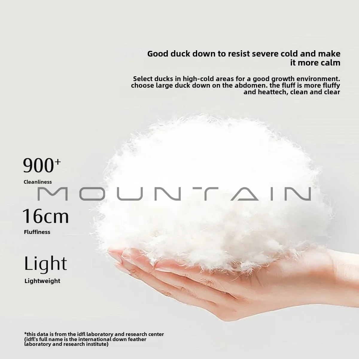 Class A winter quilt Songhua River down warm anti-mite core autumn and winter duck