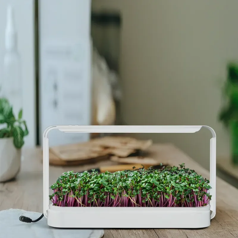 Indoor Herb Garden Grow Light Greenhouse Kit Gifts Ideas Led Hydroponics Growing System Smart Mini Garden Full-Spectrum