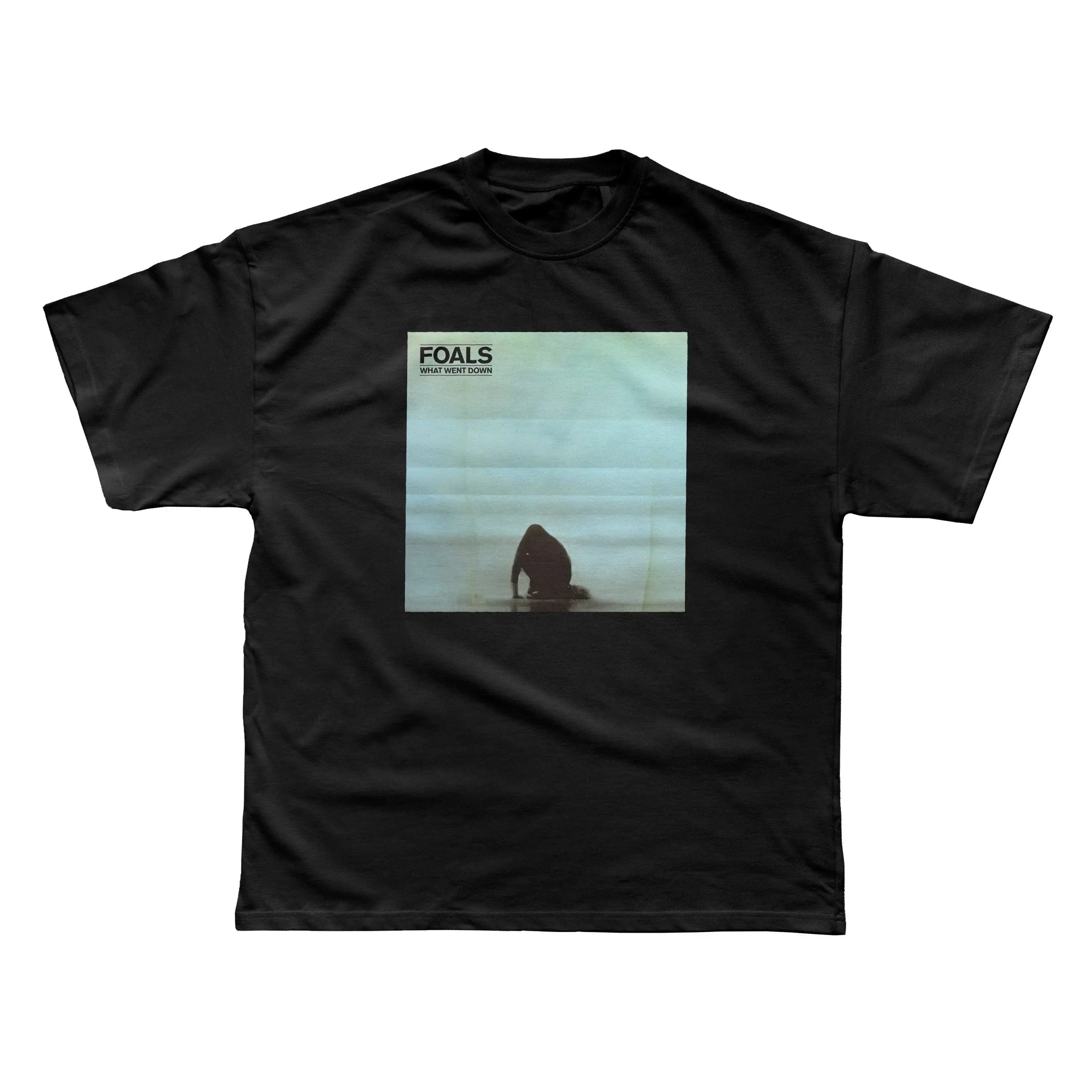 Foals What Went Down T shirt