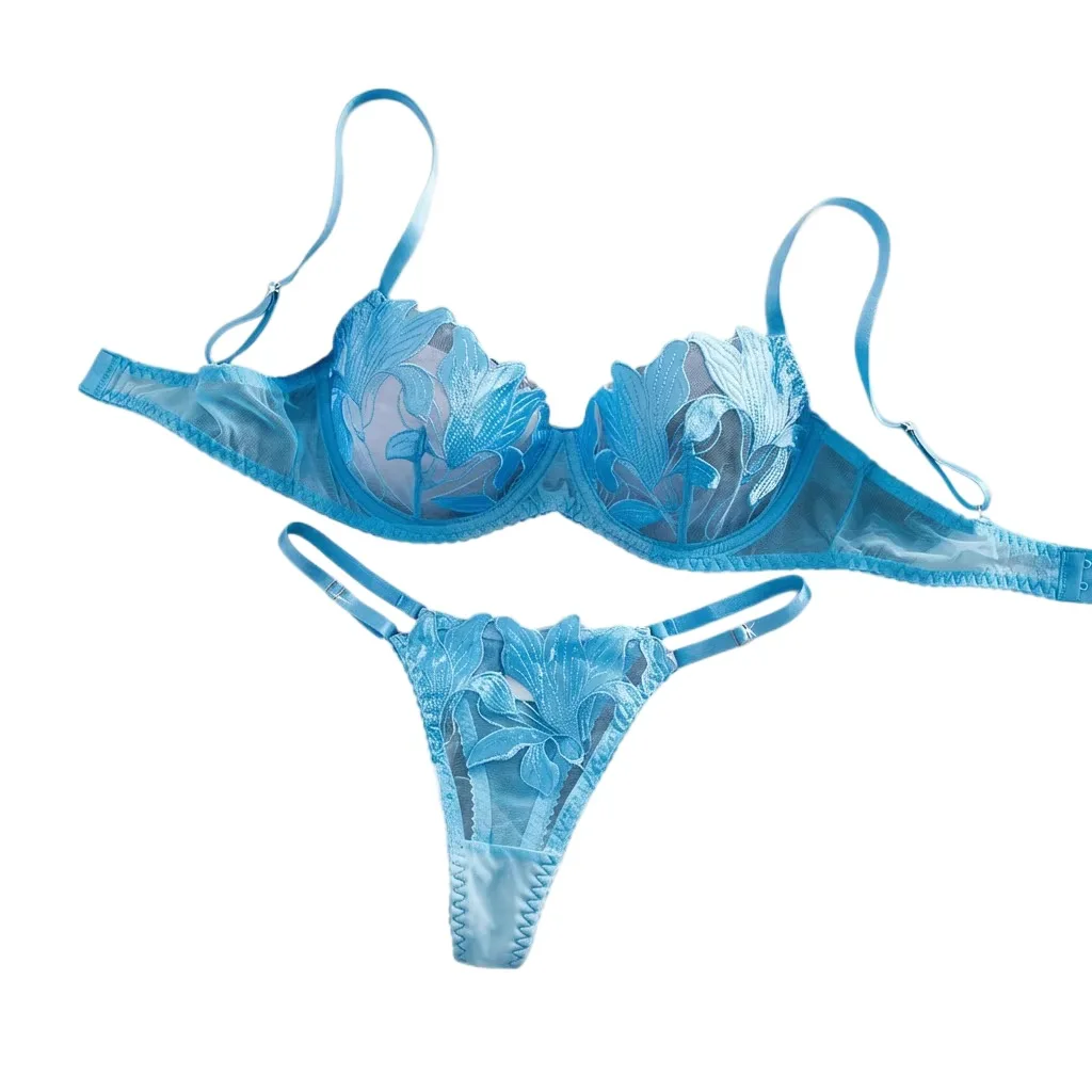 Women's Lingerie Sweety Lace Embroidery Underwear Set Blue Pure Desire Adult Underwear Fancy Transparent Intimate Lingerie Set