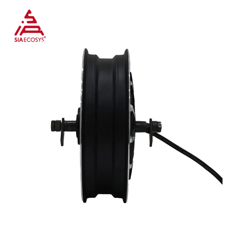 QSMotor 16*3.0inch 4000W QS273 V3 BLDC Electric Wheel Motor Dual Shaft Hub for 48V-72V Electric Motorcycle