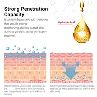 Crème exfoliante pour les yeux, Essence hydratante au rétinol coréen, rajeunissante, rétrécit les Pores, éclaircissante, soins pour la peau 5