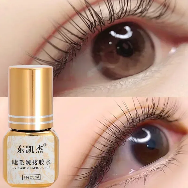 Black Grafted Eyelash Glue 5ml Waterproof Quick Drying Lasting Semi-Permanent No Irritant Eyelashes Extension Glue Makeup Tools