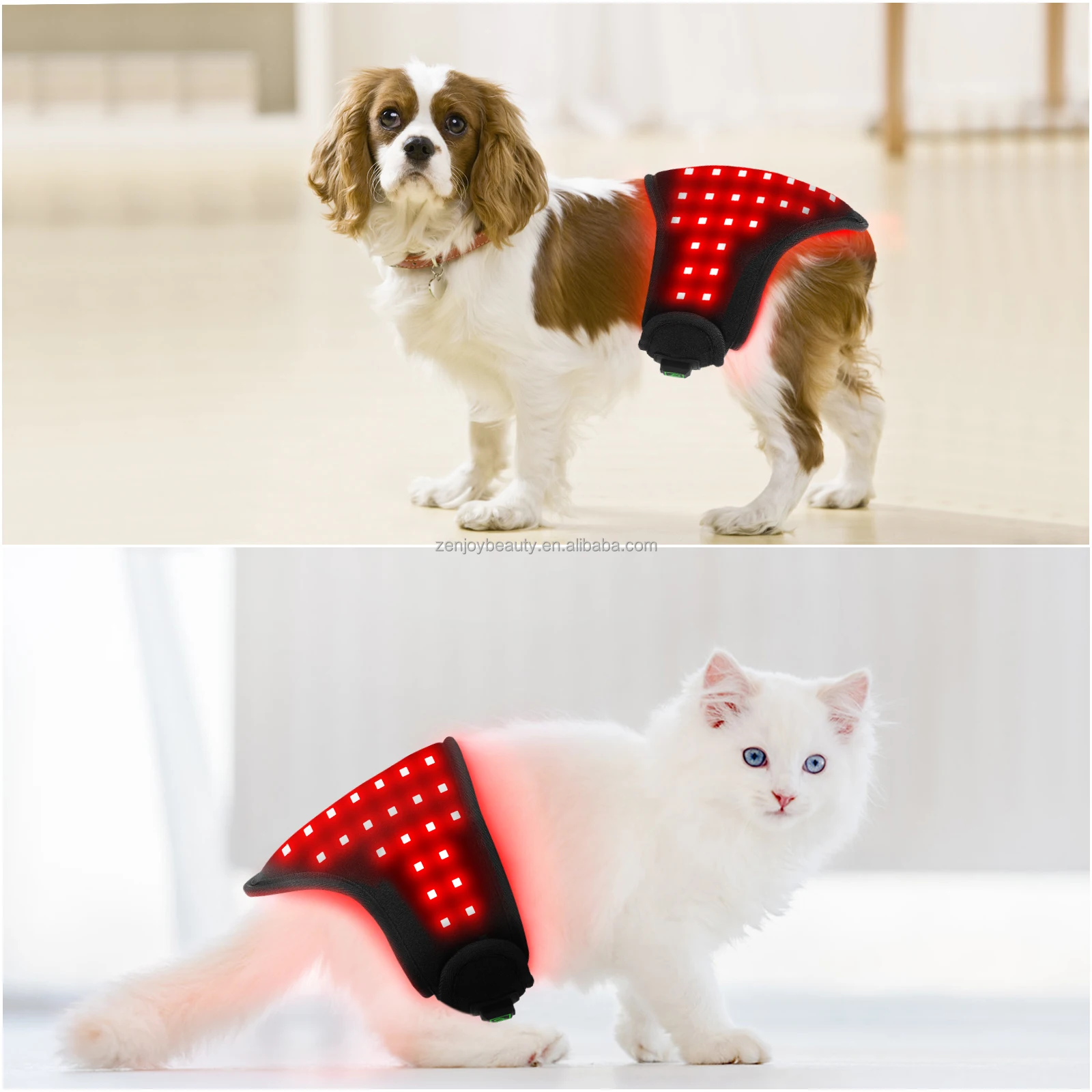 660nm 850nm Infrared Red Light Therapy PET Wrap Belt Veterinary Instrument for Pain Relief