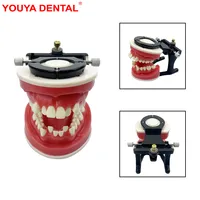 Nuevo modelo de mandíbula de entrenamiento de ortodoncia Dental, encías de cera, tratamiento ortopédico, modelo de dientes para práctica, enseñanza, estudio, educación, Typodont