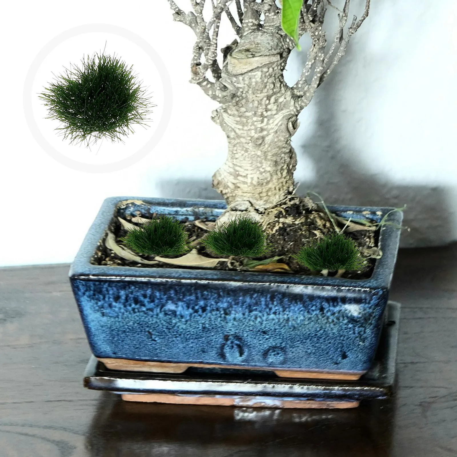 

1 set Artificial Cluster Simulation Field Grass For Sand Table Decor Railway Scene Micro Landscape Diy Plastic Grass Ornament