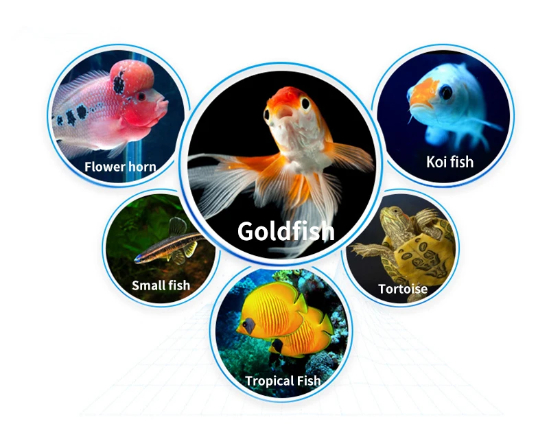 Automatic Aquarium Fish Tank Food Feeder Timing/Wifi Wireless Intelligent Mobile APP Voice Control Remote food dispenser