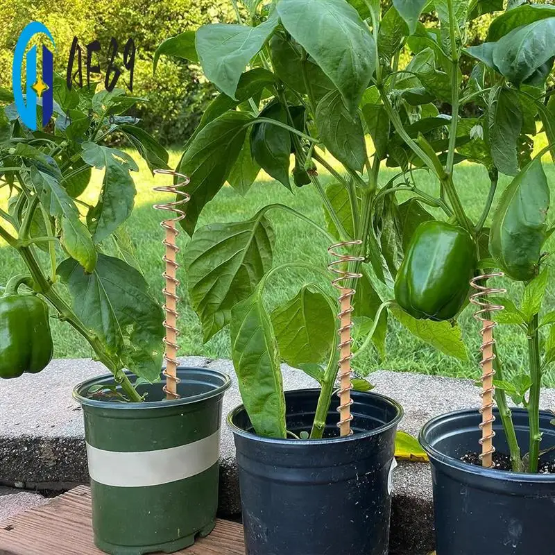 

AF89-12 PCS Электрокулярные колья для растений Электрокулярия Садовые медные спиральные антенны