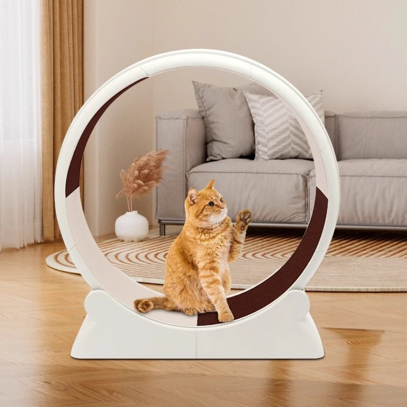

Cat Exercise Wheel Silent Eco-Friendly Pet Treadmill with Wide Track Anti-Pinch Dog & Cat Fitness Equipment Large Activity Wheel