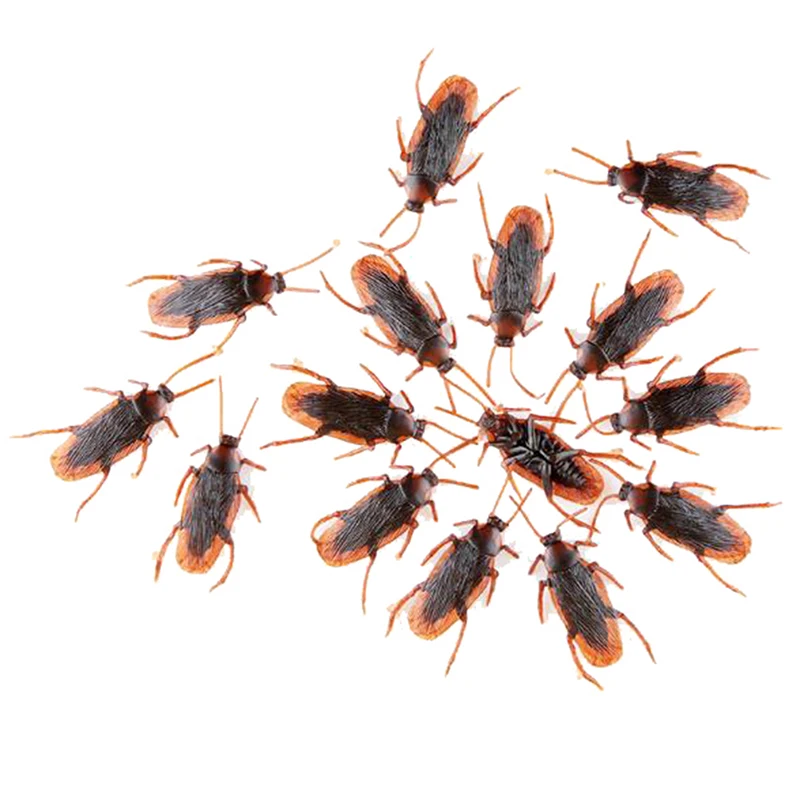 10 pezzi di gomma finta scarafaggio scarafaggio Bug Halloween speciale modello realistico simulazione aprile sciocchi giorno scherzo divertente trucco scherzo giocattoli