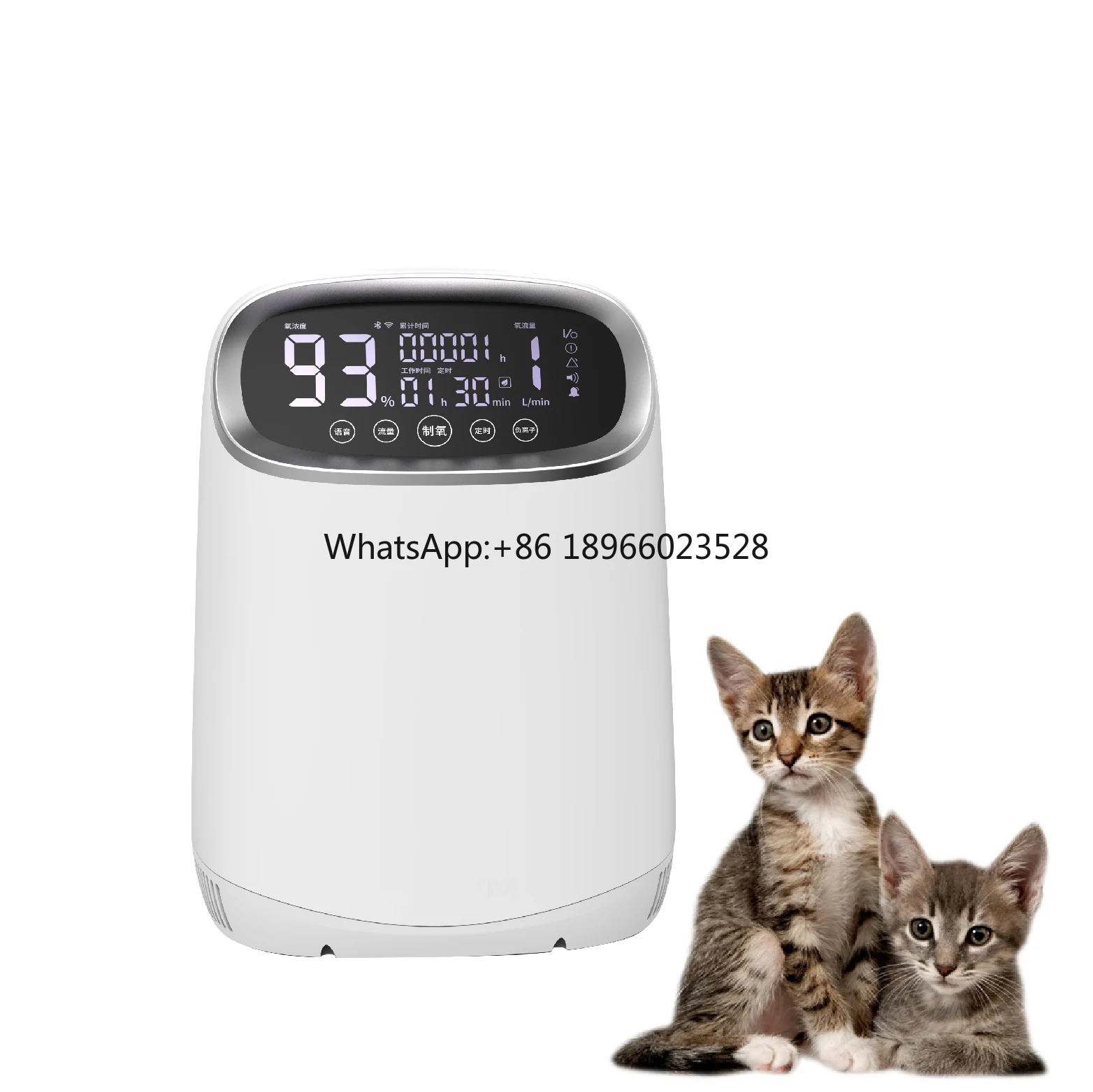 High Pressure Veterinary Hospital Dual Purpose Atomizatoin Pet Medical Oxygene Concentrator