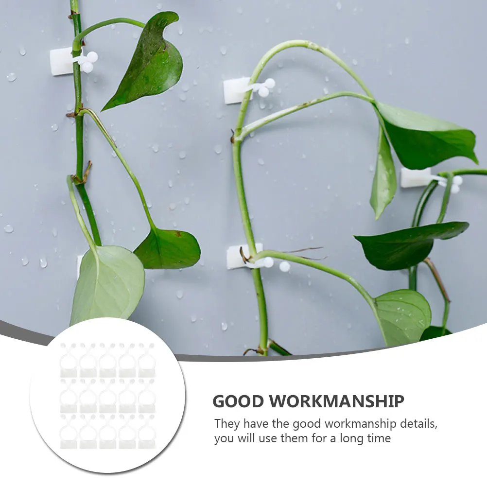 

50 Pcs Self Adhesive Hooks for Indoor Plants Vine Wall Fixer Plastic Flower Vines Plant Fixture Tool Gardening Supplies