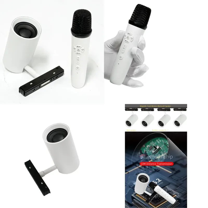 Magnetic Absorption Wireless Speaker 30W with for V5.2 for Digital DTS Karaoke Microphone Support for Computer