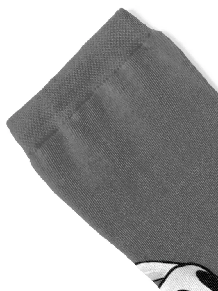 سبيكة القط Rainworld الجوارب عدم الانزلاق كرة القدم الرياضة التدفئة جورب الفاخرة امرأة الجوارب الرجال