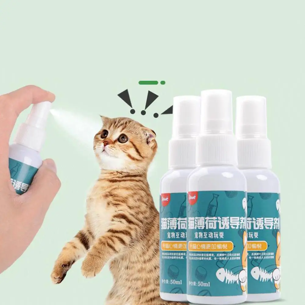 Tampon à Gratter pour Chat, Spray Naturel, Sain, Sûr, Effet à Long Terme, Inducteur, Menthe, Jouet d'Entraînement pour Animaux de Compagnie, 50ml