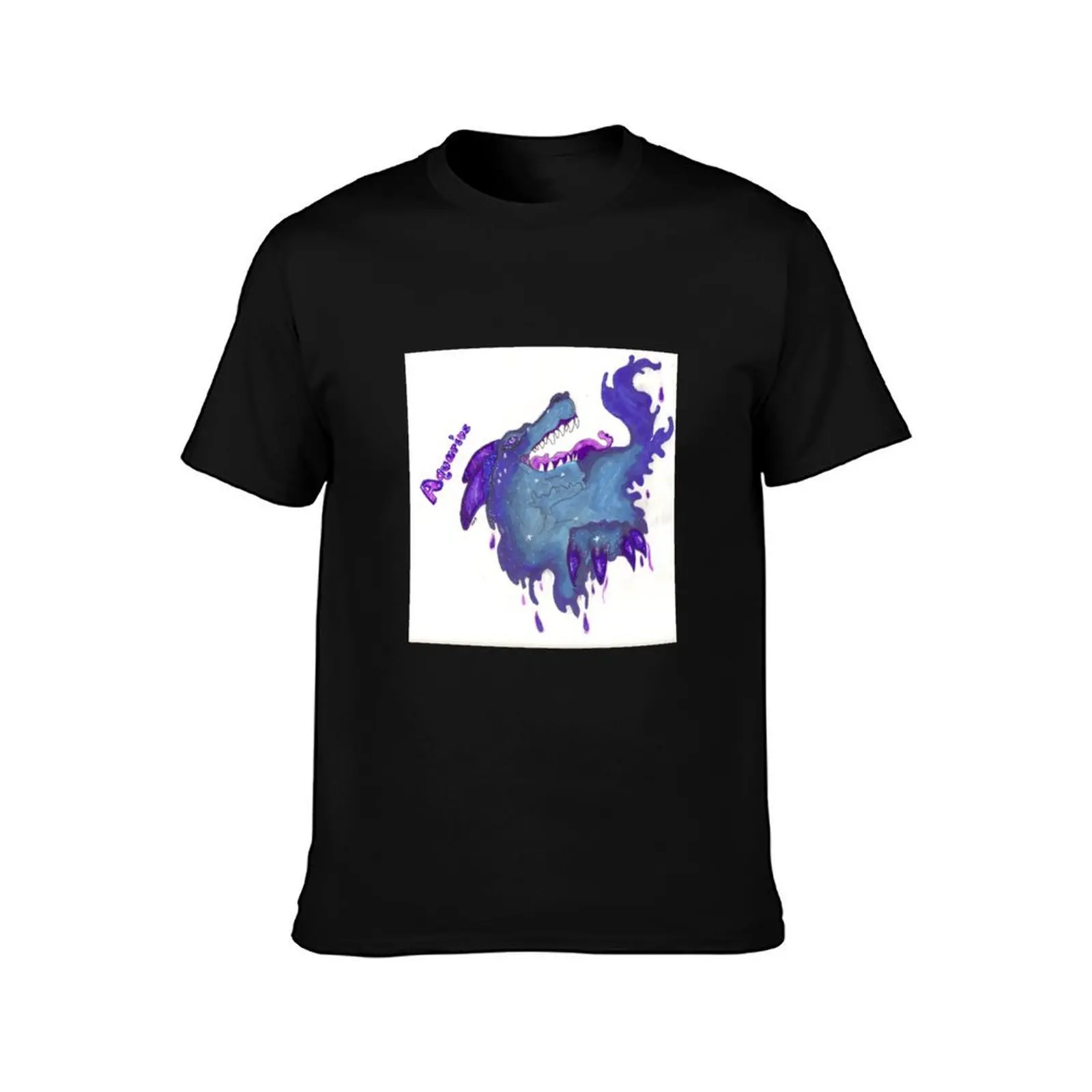Aquarius T-Shirt Holiday Simple Tee Shirt T-Shirt