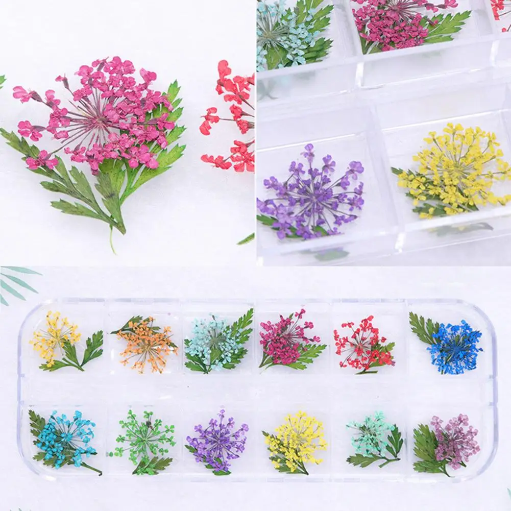 Dry Flower Manicure Deco Vibrant Floral Nail Art Supplies 12 Colors of Natural Dried Flower Charms for Manicure Uv Gel Polish
