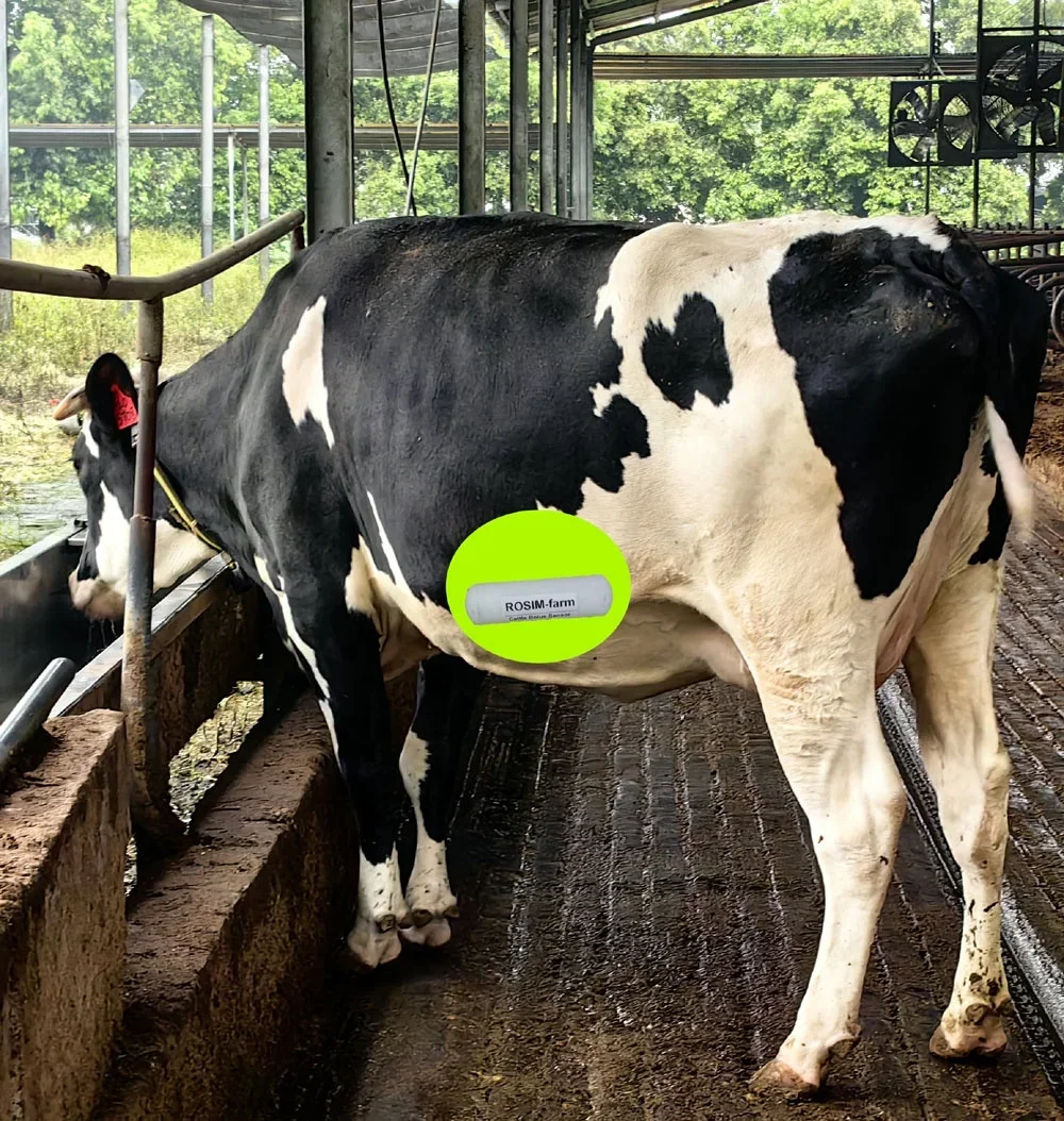 Bolus For Body Temperature Detection Cow Health Monitoring Heat Detection Calving Alert Water Intake Heat Stress Detection