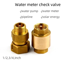 Vertical Spring Check Valve 1/2