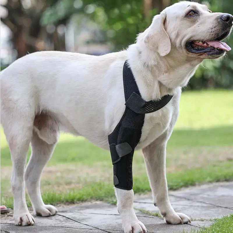 Dog Leg Brace Joint Injury Recovery Legs Protector Dog Dog Elbow Brace Knee Immobilizer Help The Joint Stable Prevent Injuries