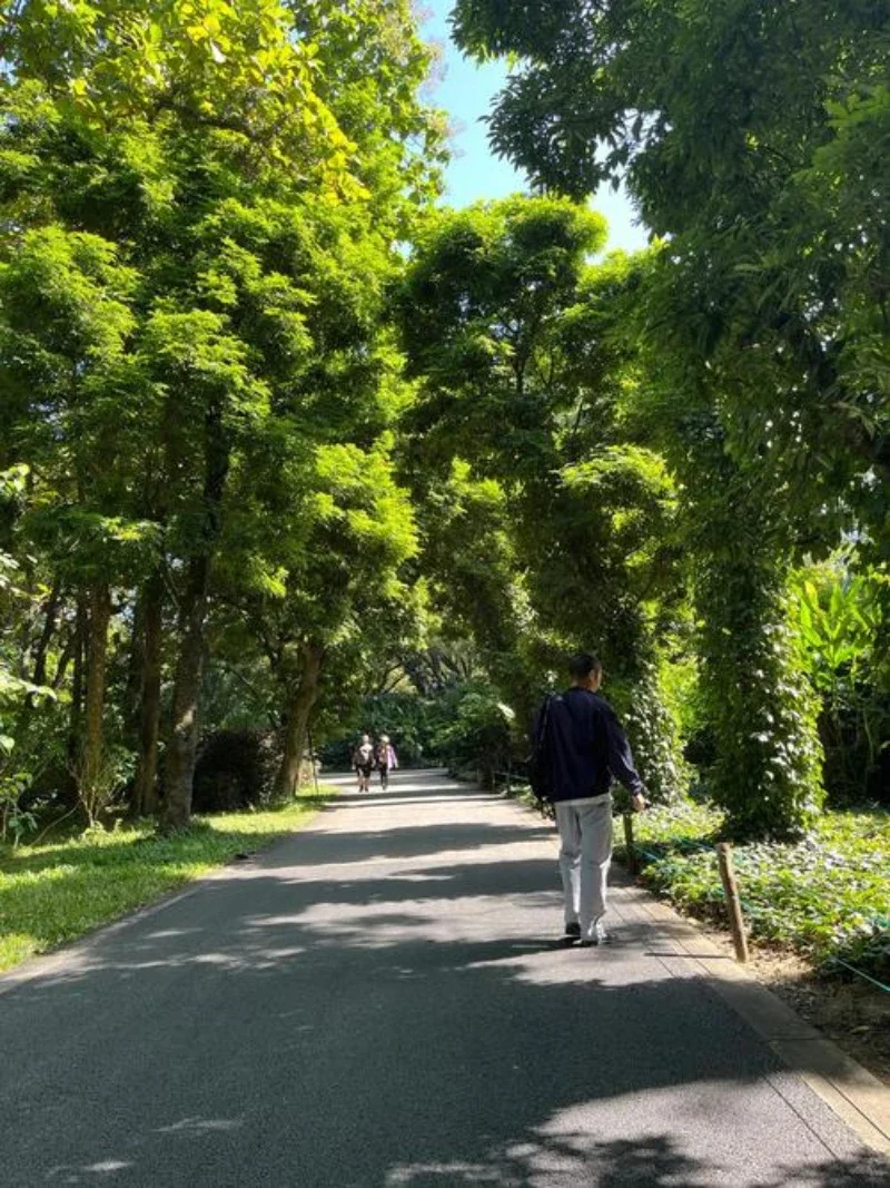 

Paint Pen Supplies Modification Accessories Car Paint Scratch Repair Car Scratch Remover Paint Repair Set For Audi Q7