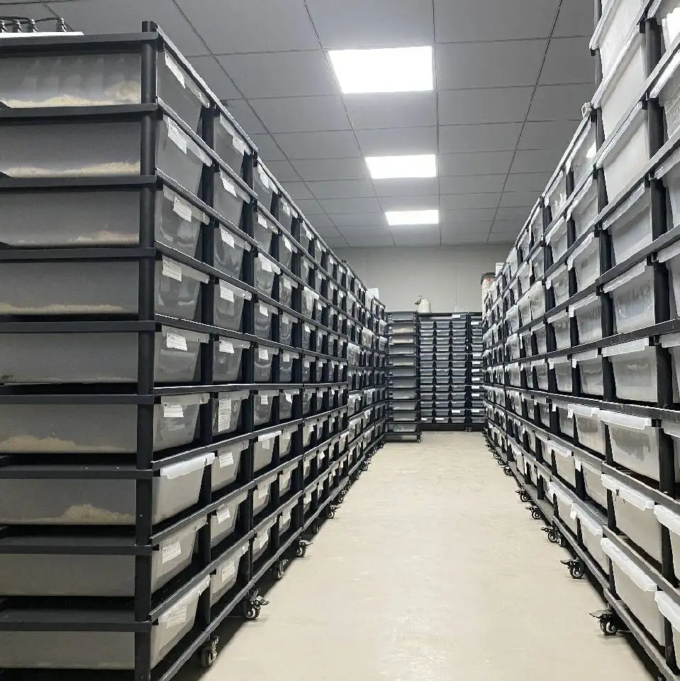 

Large Reptile Rack Snake Breeding Tubs Rack Meta Snake Breading Rack with Tubs