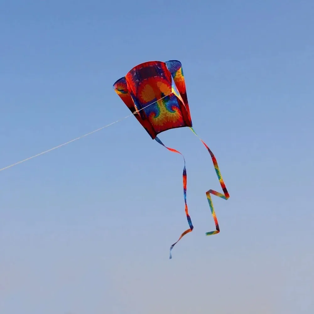 Novo fácil voar arco-íris parafoil pipa com linha de pipa longo cauda bolso pipa bom voando poliéster ripstop voando pipa brinquedos ao ar livre