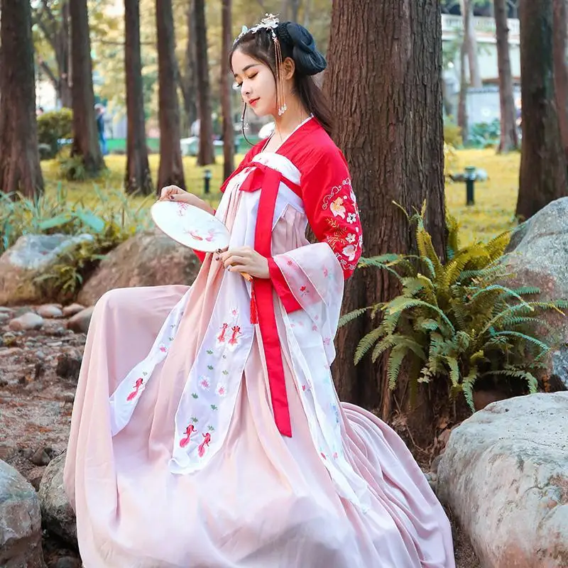 

New Hanfu Dress - Tang Style Ruqun for Women Bodhi Snow Princess Fairy Costume High-Waist Skirt Traditional Chinese Clothing