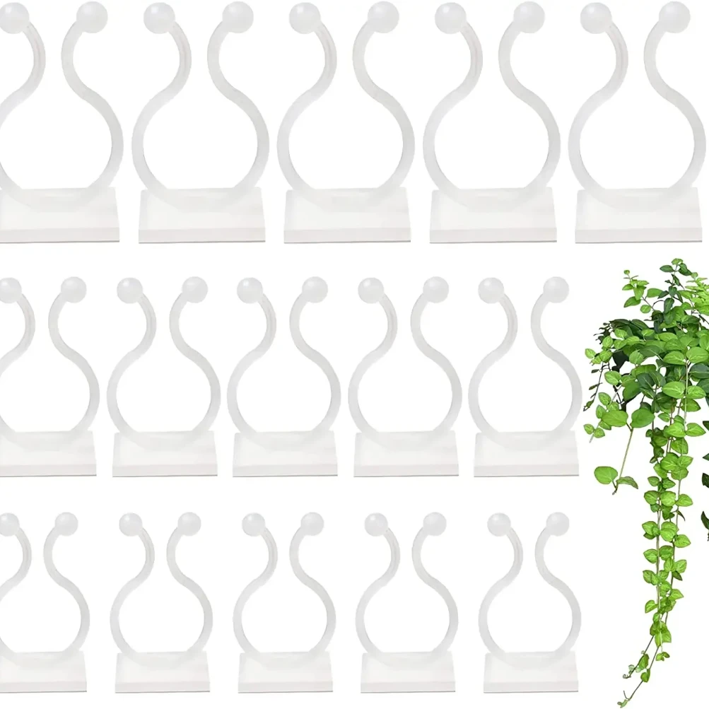 

Plant Climbing Wall Clips Vine Buckle Hook Fastener Tied Fixture Buckle Hook Plant Stent Invisible Vine Climbing Fixed Bracket