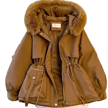 ปายเอาชนะผู้หญิงใหม่ 2024 ตุ๊กตาสีทึบเสื้อแจ็คเก็ตผ้าฝ้ายอบอุ่นเสื้อหลวมหนา