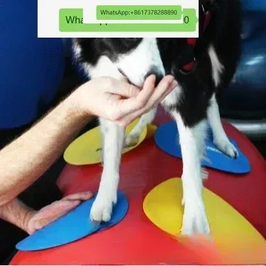 Fixed-point sign piece Pet fixed-point training sign piece Prevention