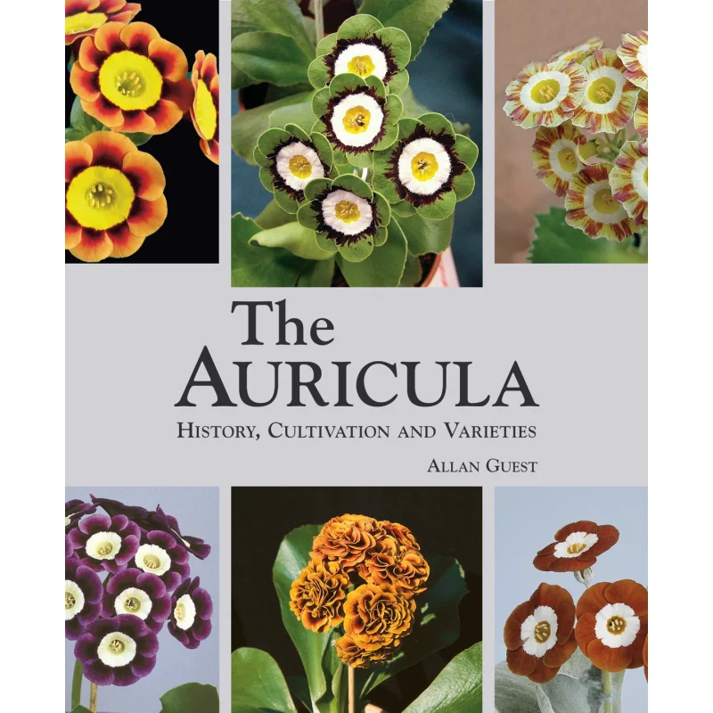 Auricula History Cultivation And Varieties Allan Guest Acc Art Books 9781870673624 Book